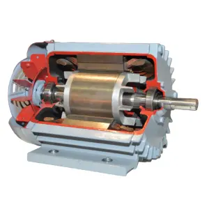 Induction Motor